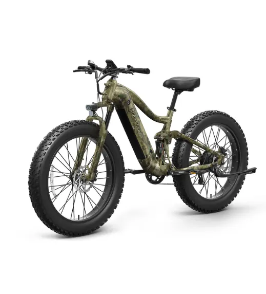 Boxer Ebike